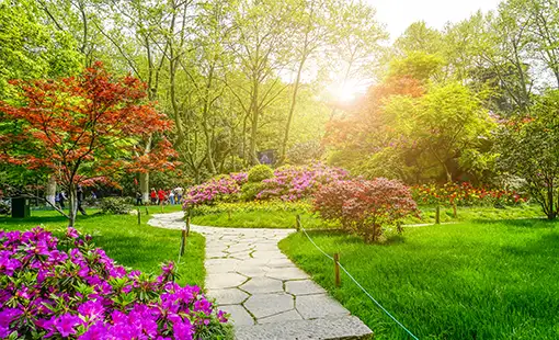 Mahindra Happiness Images